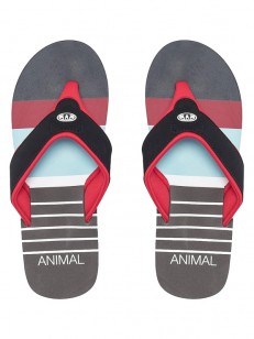 ANIMAL žabky JEKYL SWIM Red