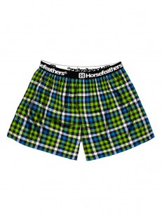 Horsefeathers CLAY kiwi men's shorts