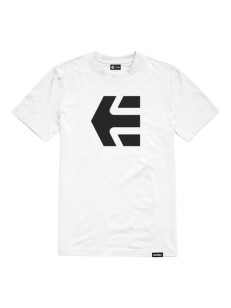 Etnies Icon white