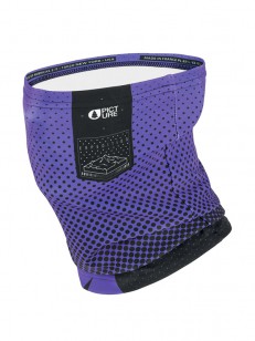 Picture Purple Logo