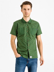 Picture Salmon green